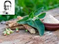 Radici, foglie e polvere di ashwagandha, rimedi naturali per l'insonnia. Ritratto di un uomo sorridente in alto a sinistra.