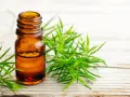 Flaconcino ambrato con olio essenziale di tea tree, circondato da rametti verdi. Utile per il benessere in gravidanza.