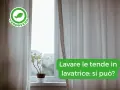 Tende chiare drappeggiate accanto a una finestra con una pianta in vaso. Il testo chiede: "Lavare le tende in lavatrice: si può?".
