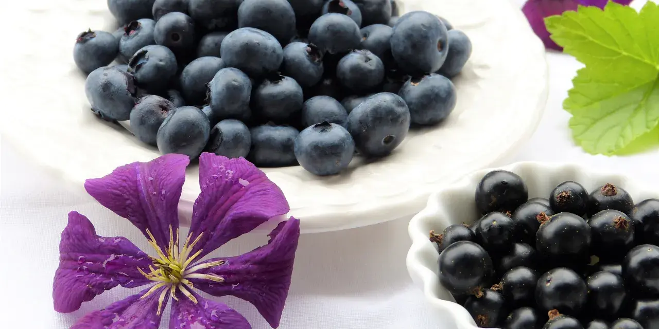 Mirtilli e ribes nero, un concentrato di natura. Un aiuto per il tuo benessere, un vero antistaminico naturale.
