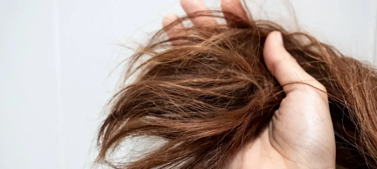 Mano che tiene ciocche di capelli castani, secchi e sfibrati, con punte visibilmente danneggiate, quasi capelli bruciati.