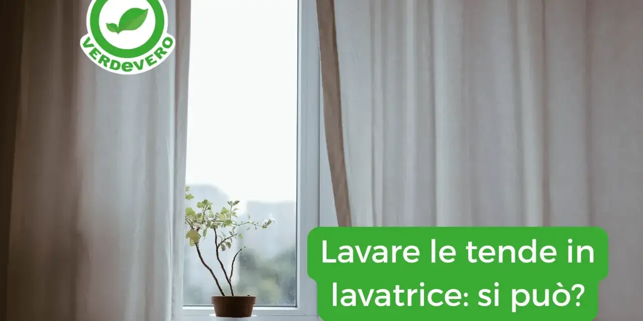 Tende chiare drappeggiate accanto a una finestra con una pianta in vaso. Il testo chiede: "Lavare le tende in lavatrice: si può?".