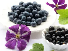 Mirtilli e ribes nero, un concentrato di natura. Un aiuto per il tuo benessere, un vero antistaminico naturale.