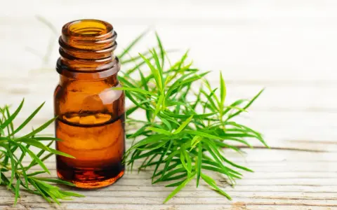 Flaconcino ambrato con olio essenziale di tea tree, circondato da rametti verdi. Utile per il benessere in gravidanza.