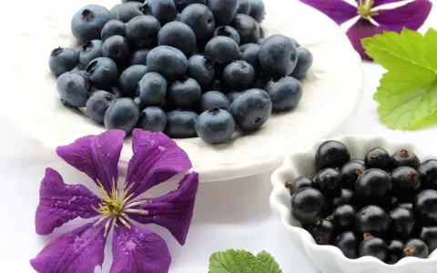 Mirtilli e ribes nero, un concentrato di natura. Un aiuto per il tuo benessere, un vero antistaminico naturale.