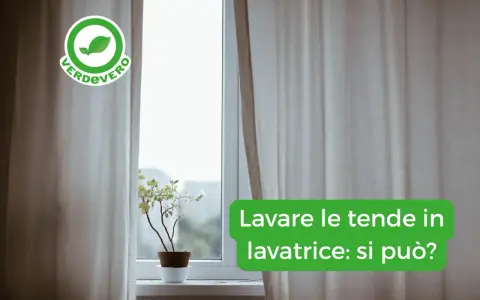 Tende chiare drappeggiate accanto a una finestra con una pianta in vaso. Il testo chiede: "Lavare le tende in lavatrice: si può?".