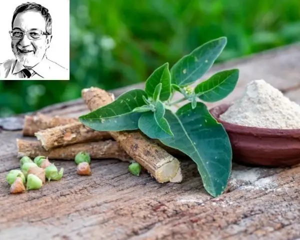Radici, foglie e polvere di ashwagandha, rimedi naturali per l'insonnia. Ritratto di un uomo sorridente in alto a sinistra.