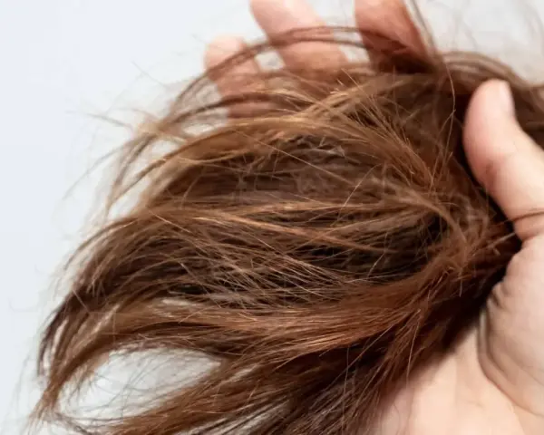 Mano che tiene ciocche di capelli castani, secchi e sfibrati, con punte visibilmente danneggiate, quasi capelli bruciati.
