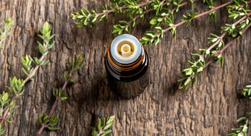 Flacone di olio essenziale di timo su legno rustico, circondato da rametti freschi. Un aiuto naturale per il raffreddore.