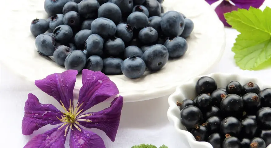 Mirtilli e ribes nero, un concentrato di natura. Un aiuto per il tuo benessere, un vero antistaminico naturale.