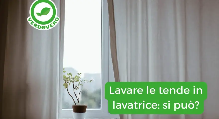 Tende chiare drappeggiate accanto a una finestra con una pianta in vaso. Il testo chiede: "Lavare le tende in lavatrice: si può?".