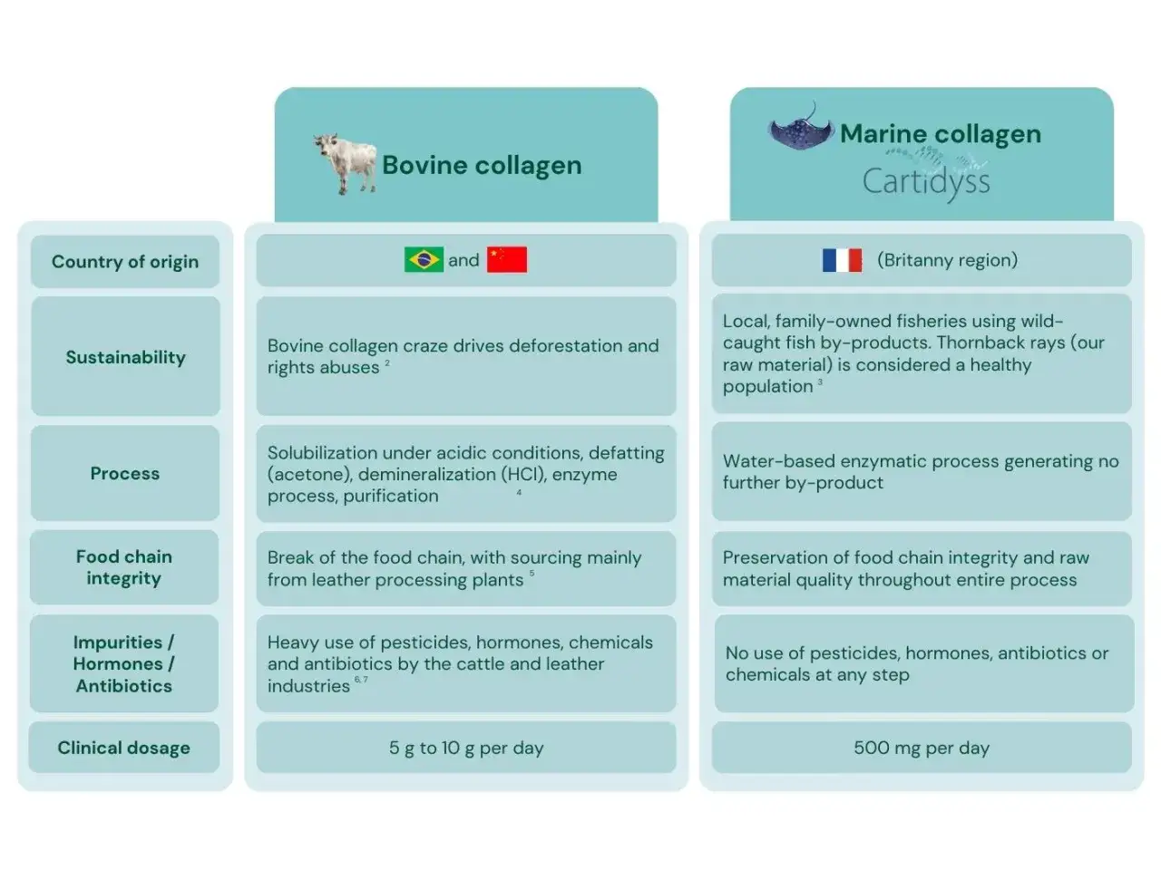 Confronto tra collagene marino e bovino: origine, sostenibilità, processo, integrità della filiera, impurità e dosaggio. Meglio collagene marino o bovino?