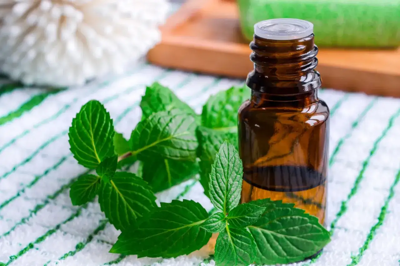 Flacone ambrato di olio essenziale menta piperita accanto a foglie fresche di menta su un asciugamano a righe verdi e bianche.