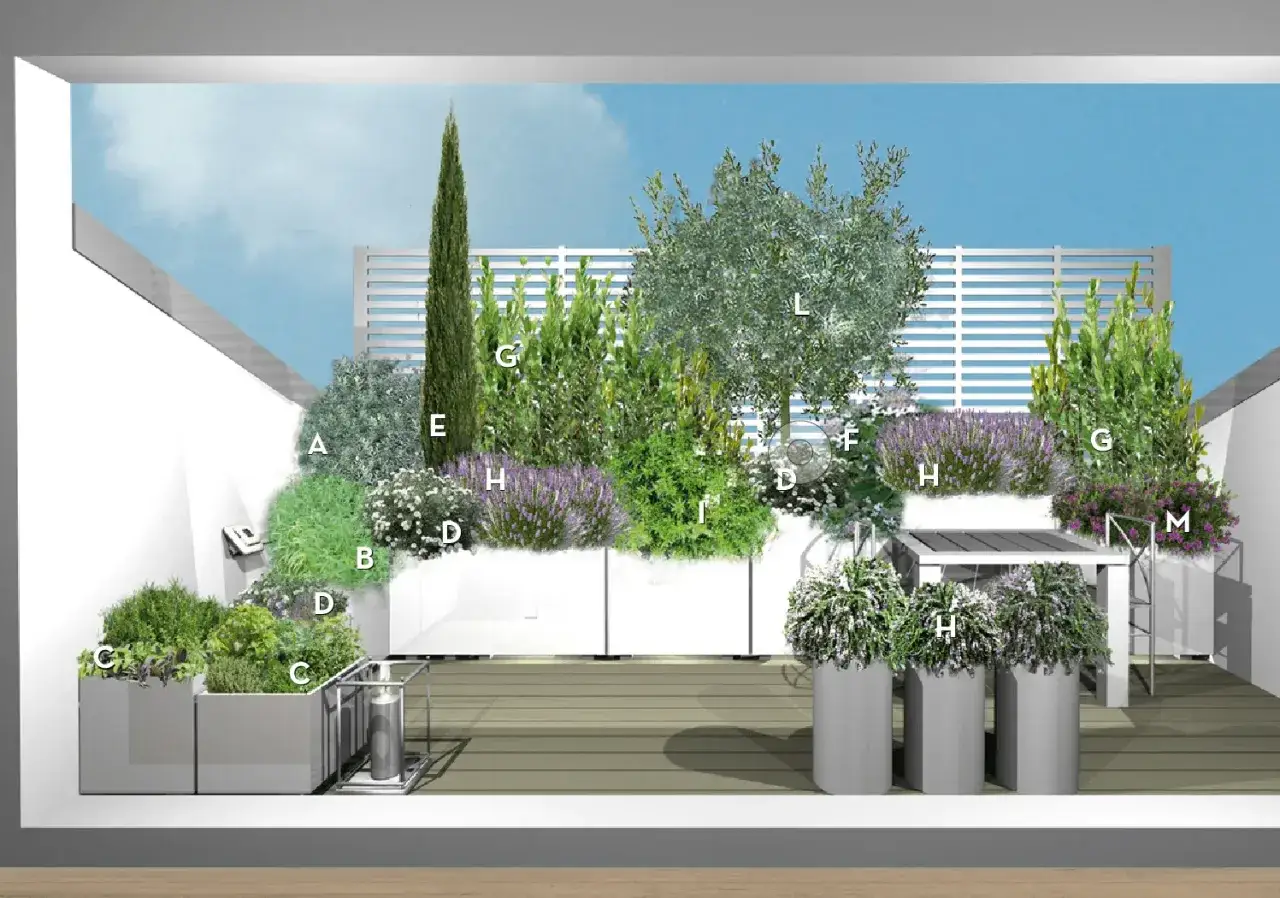 Progetto di terrazza sul tetto con diverse piante, tra cui lavanda e un ulivo. Idee per un giardino verticale e fioriere moderne.