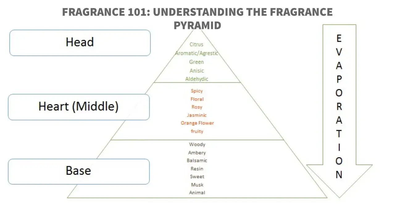 Piramide olfattiva: note di testa (agrumi, verdi), cuore (speziate, floreali) e fondo (legnose, muschiate) per creare essenze profumi famosi.