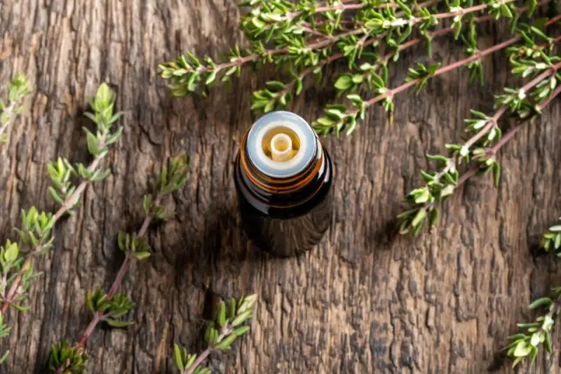 Flacone di olio essenziale di timo su legno rustico, circondato da rametti freschi. Un aiuto naturale per il raffreddore.