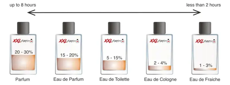 Cinque flaconi di profumo mostrano le concentrazioni di essenza: Parfum (20-30%), Eau de Parfum (15-20%), Eau de Toilette (5-15%), Eau de Cologne (2-4%), Eau de Fraiche (1-3%).